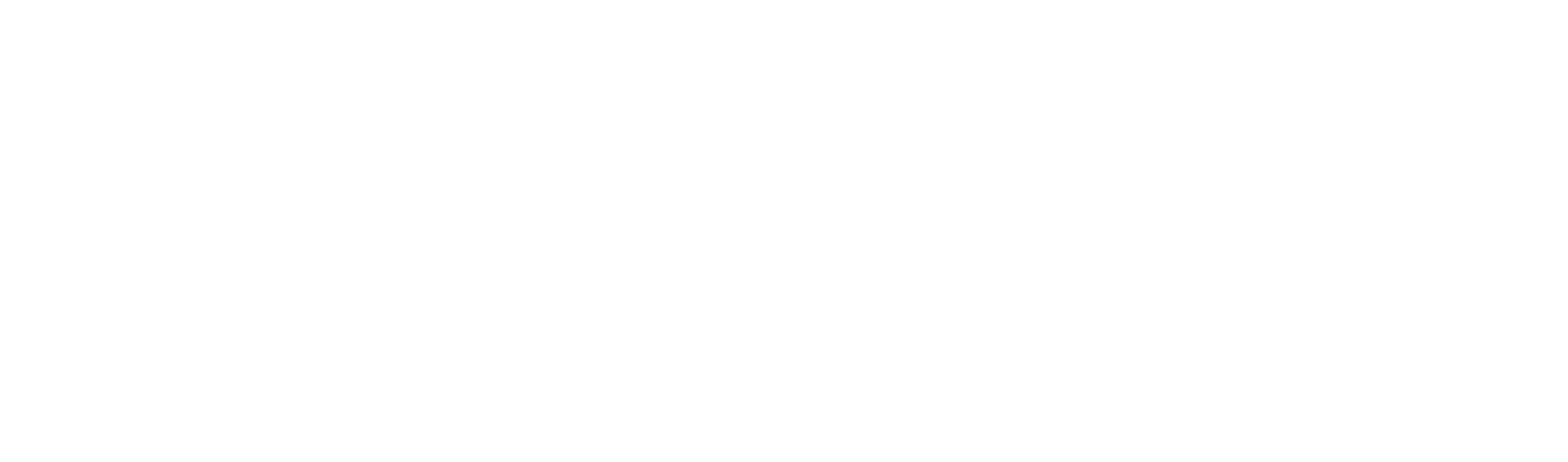 Sibtain Jan